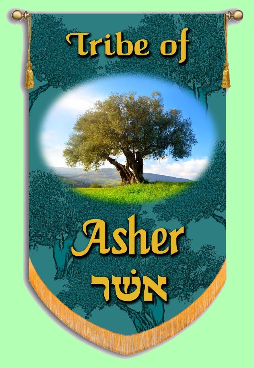 Picture of The Tribe of Asher's Banner with an olive tree on it