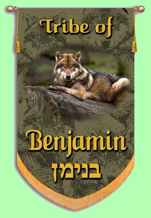 Picture of The Tribe of Benjamin's Banner with a wolf on it