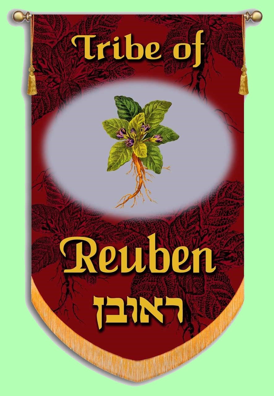 Picture of The Tribe of Reuben's Banner with mandrakes on it
