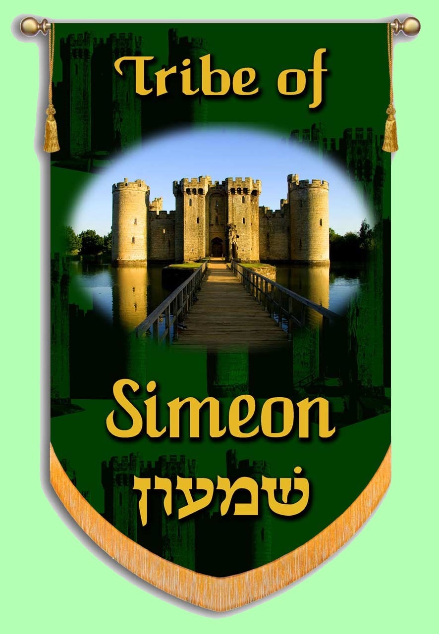 Picture of The Tribe of Simeon's Banner with the town of Shechem on it
